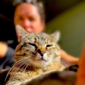 Meet your Posher, Julia